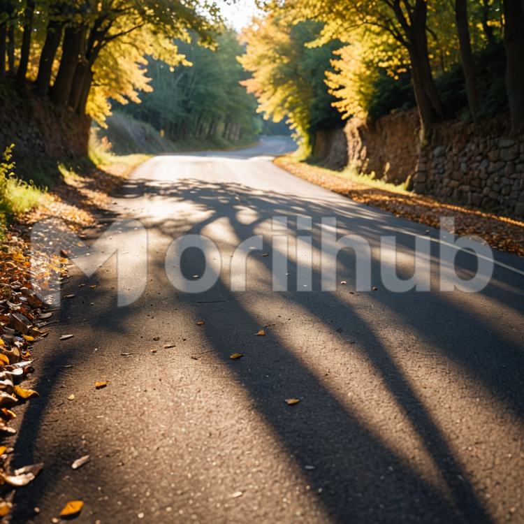 Scenic Adventure