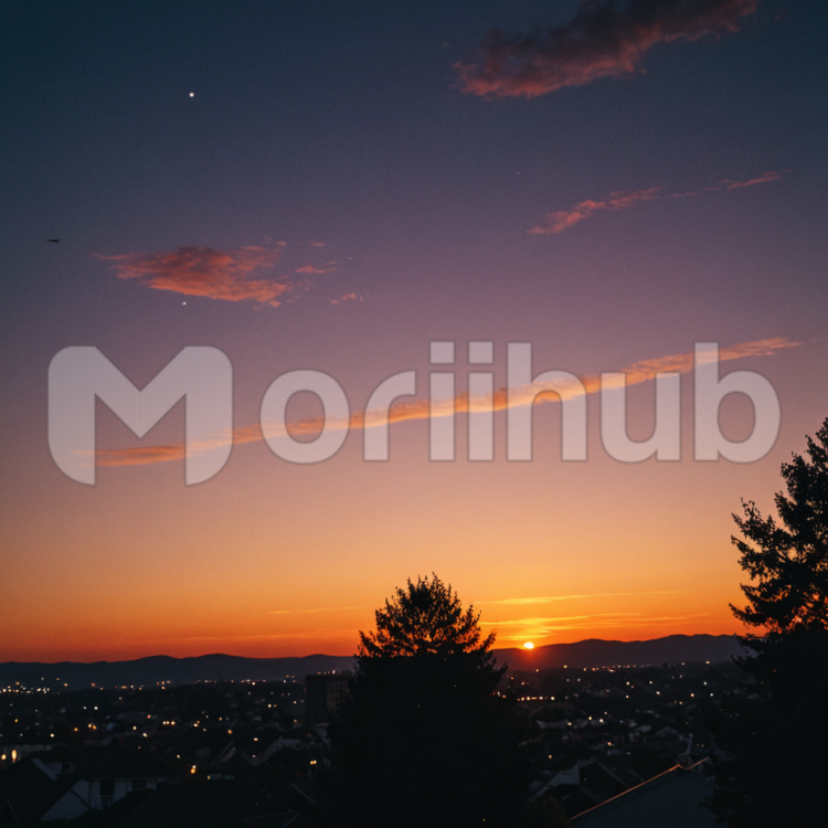 Evening Palette
