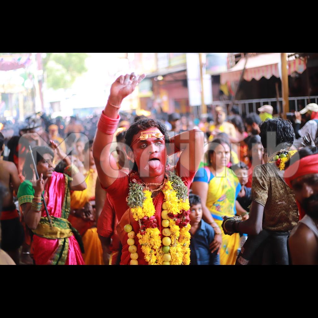 Vibrant Celebrations