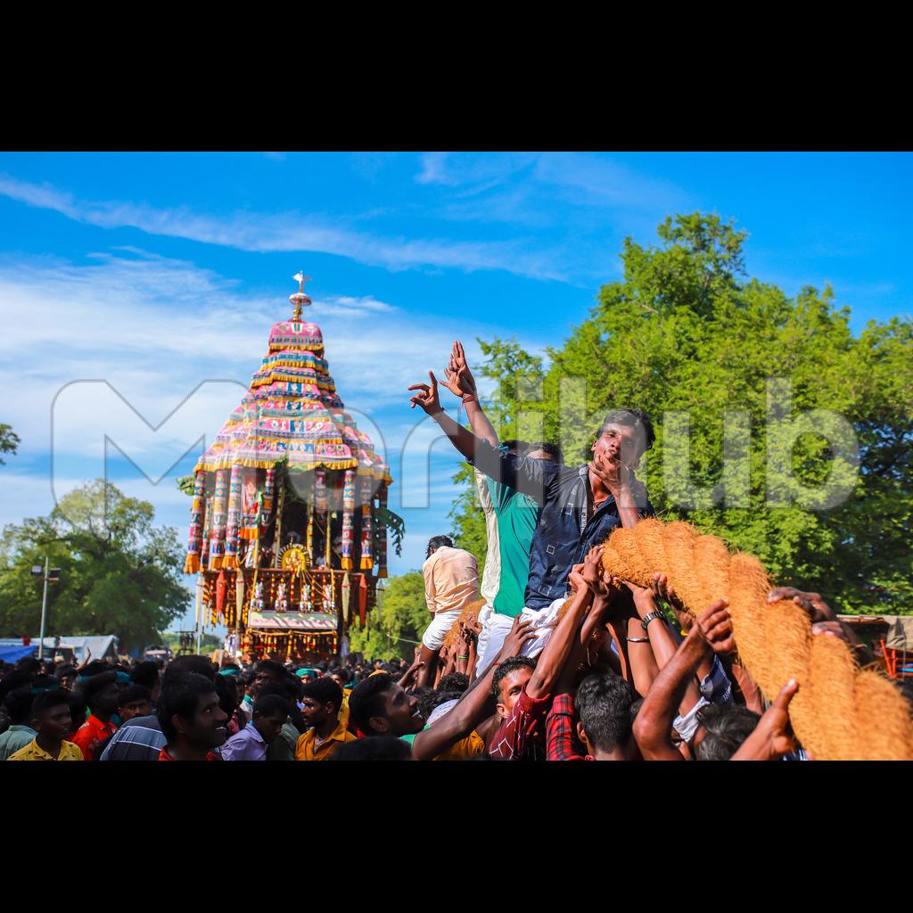 Cultural Revelry