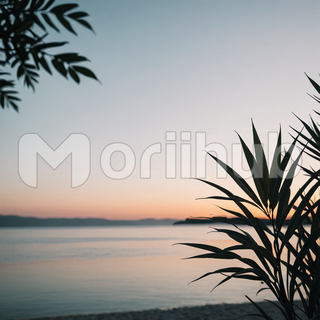 Shoreline Serenade