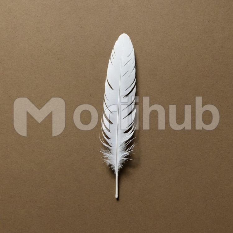 Feather Craft