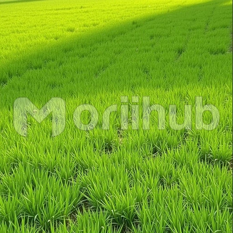 Vibrant Grass