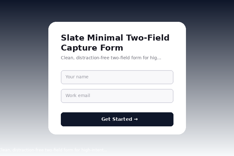 Slate Minimal Two-Field Capture Form