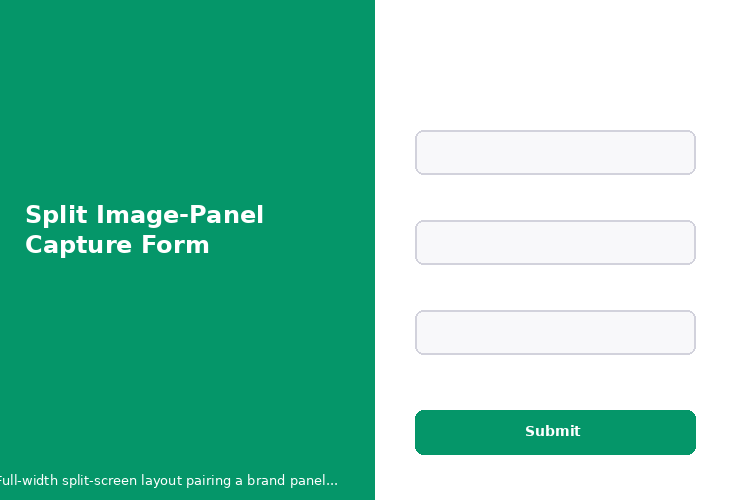Split Image-Panel Capture Form